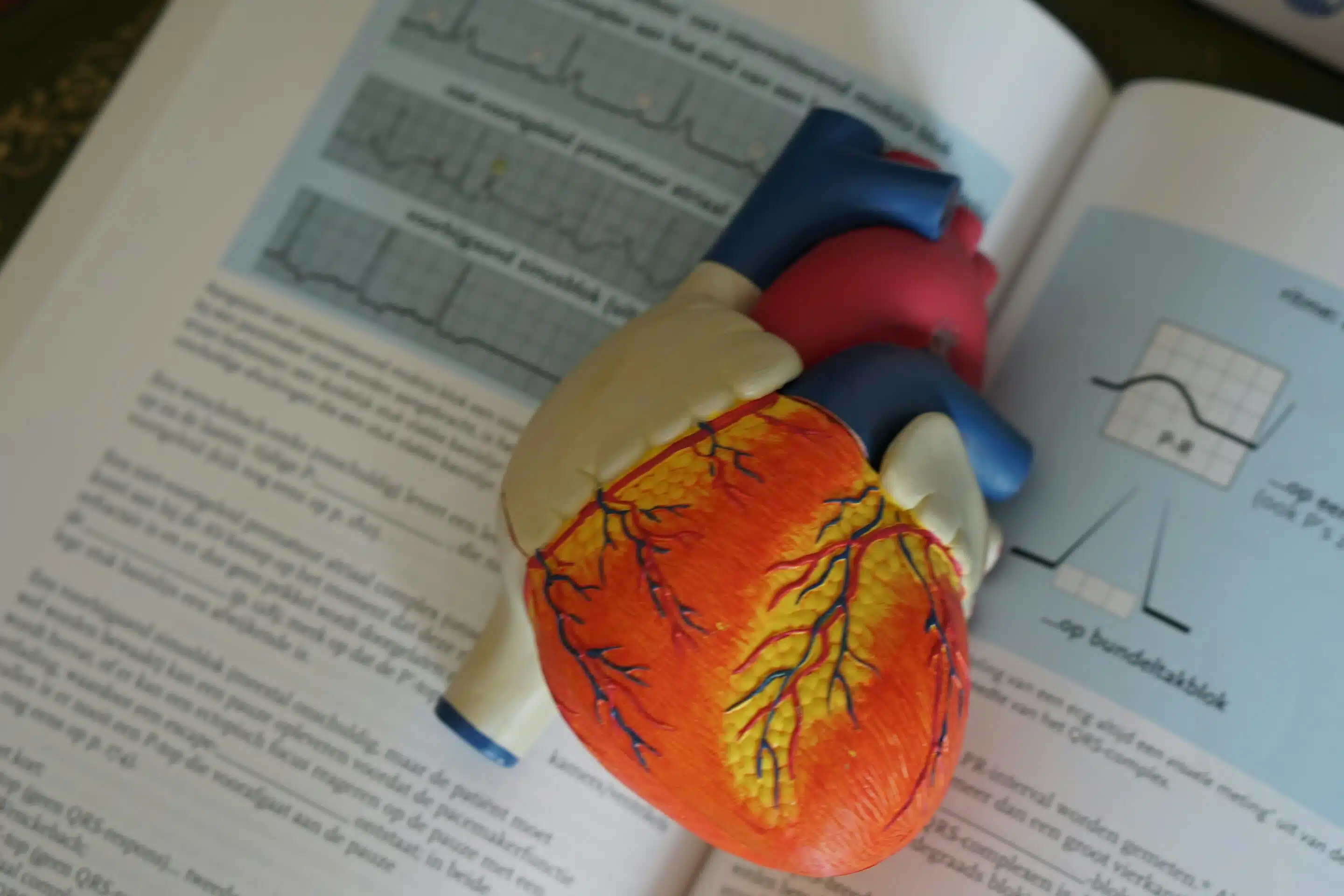 plastic human heart on a medical text book 